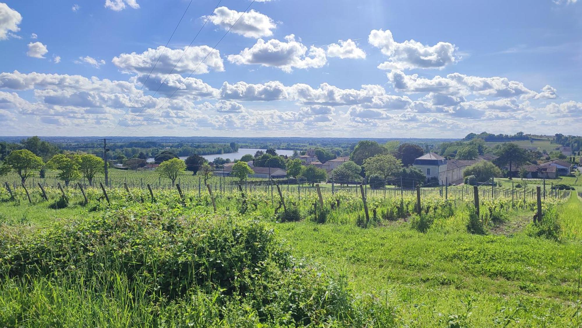 Maison Charmeilles - La Suite Pomerol Fronsac  Exteriör bild