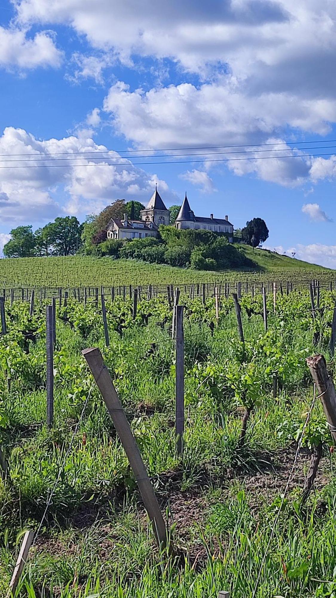Maison Charmeilles - La Suite Pomerol Fronsac  Exteriör bild